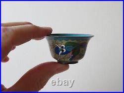 Boxed Set Of 6 Antique Chinese Cloisonne Sake Wine Cups, Dragon - Early 20th C
