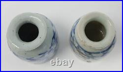 Set of 2 Antique Chinese Blue and White Porcelain Water Dropper Vessels