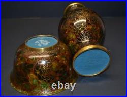 Set of Vintage/Antique Chinese Cloisonne Bowl and Vase